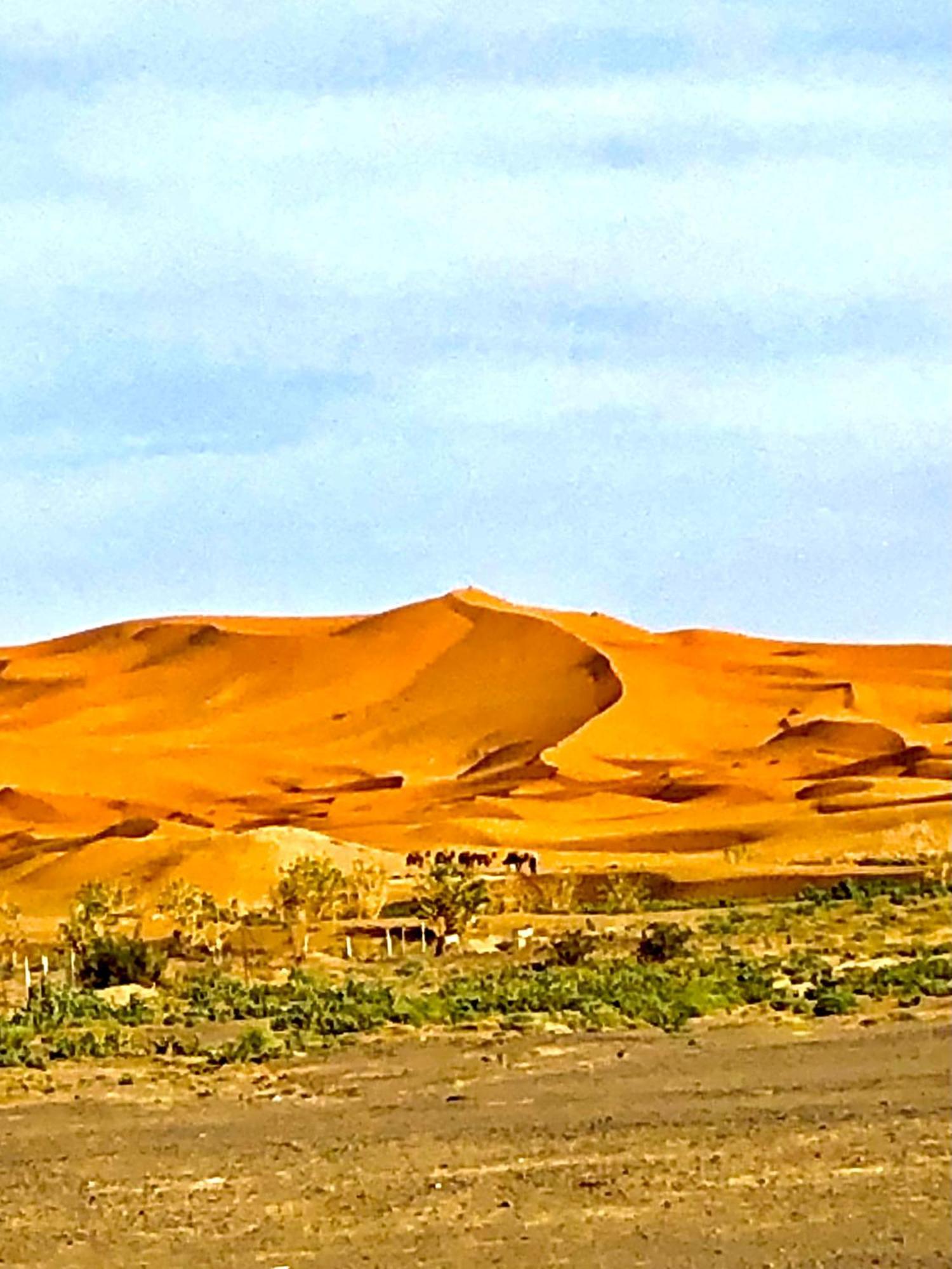 Bivouac La Fibule Des Dunes Мерзуга Экстерьер фото